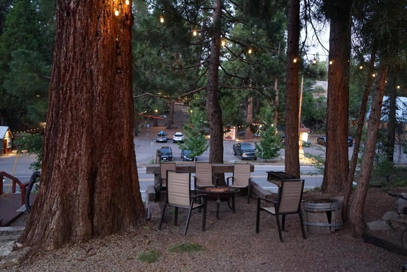 Bear Cave- Pet Friendly Suite In Shaver Lake Шейвер-Лейк Екстер'єр фото